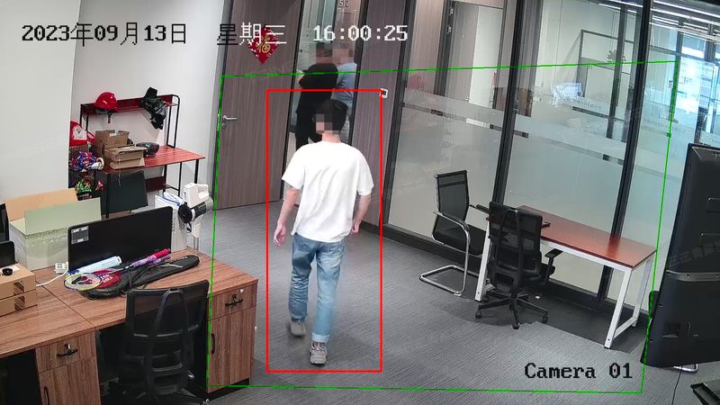 安防工程公司经营范围解析：从技术到服务全解析