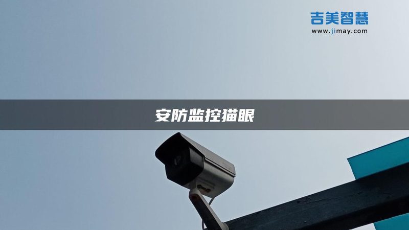 人脸识别安防考勤机设置：从入门到精通**